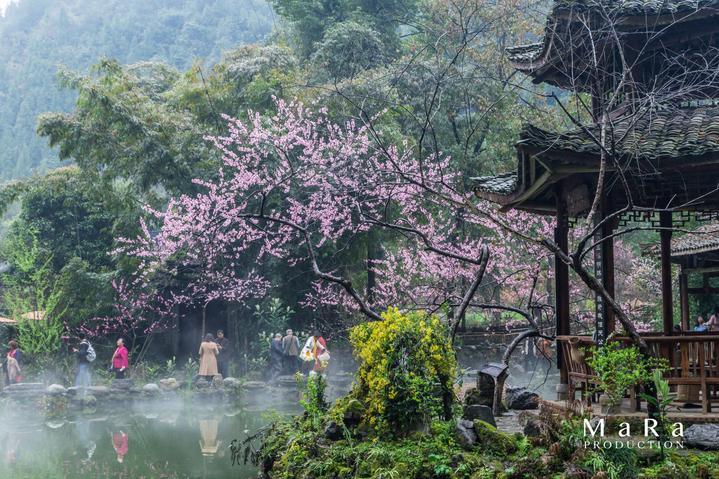 测绘工程研究生学校排名游戏画面