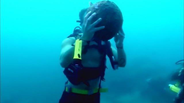 海通国际:维持中粮家佳康“优于大市”评级 目标价2.48港元