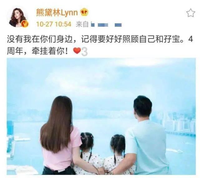 救援小棕兔