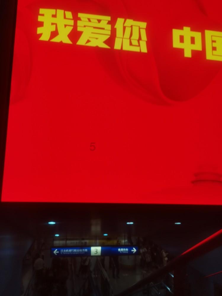 逃出猫头鹰岛
